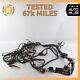 2005 Maserati M138 Coupe 4200 Gt Engine Motor Ignition Wire Harness Oem 67k