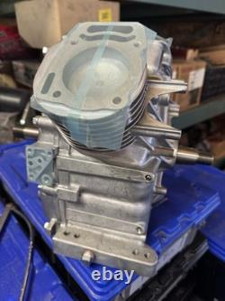 Briggs & Stratton Gas Engine Short block MODEL 30 HORZ 494056 New Motor In Box
