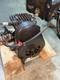Briggs & Stratton Model Y Engine 1937 Pre-war Hit & Miss Motor (working)