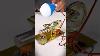Build Stirling Engine Generator With Bulb Powered By Ethanol Enginemodelkit Diy Stirling Engine