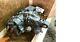 Tesla Model S Rear Drive Unit Engine Motor Awd Small Inverter Only