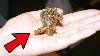 Top 20 Most Incredible Smallest Engine In The World Starting And Running Handmade