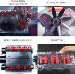 V8 Combustion Engine Model Kit That Runs Build Your Own STEM Mini V8 Model