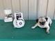 Vintage Briggs & Stratton 2hp Gas Engine Go Kart Motor Model 60102 White